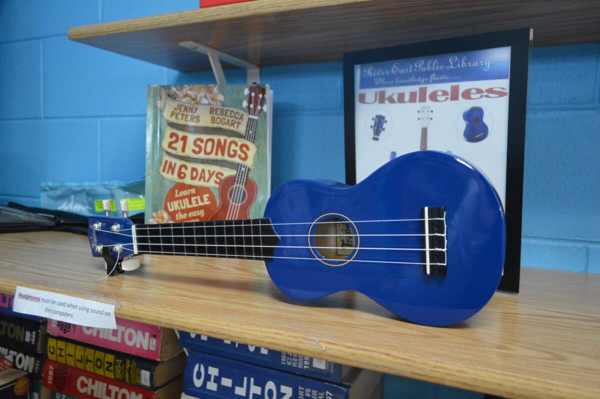 A blue ukulele sits on a wooden shelf next to a book titled 21 Songs in 6 Days: Learn Ukulele the Easy Way and a framed poster about ukuleles, with other books visible below.
