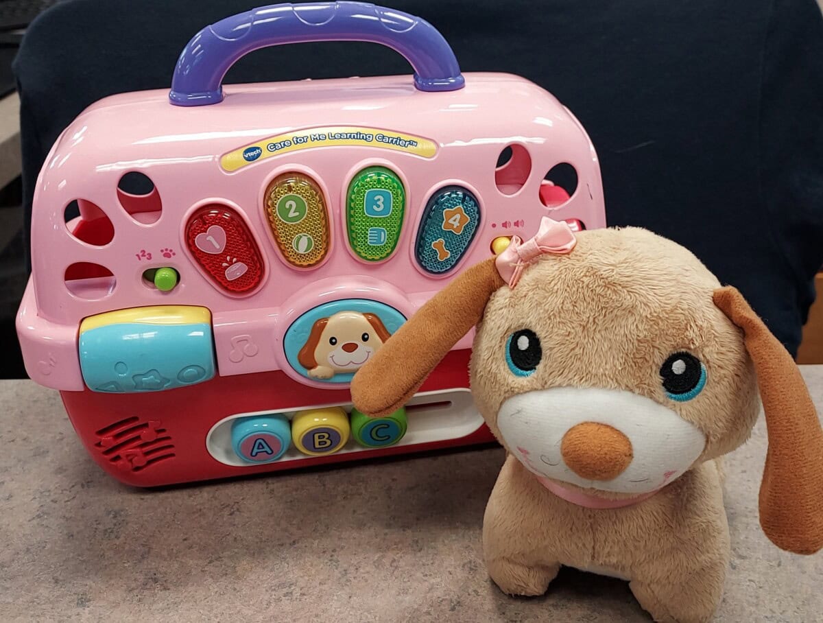 Interactive learning toy in pink with buttons and a plush dog toy beside it.