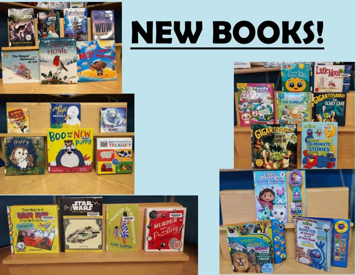 Five photos of library bookshelves display NEW BOOKS in various genres, including fiction, nonfiction, childrens books, and self-help, all neatly arranged with covers facing forward. Text NEW BOOKS is centered on a pale green background.