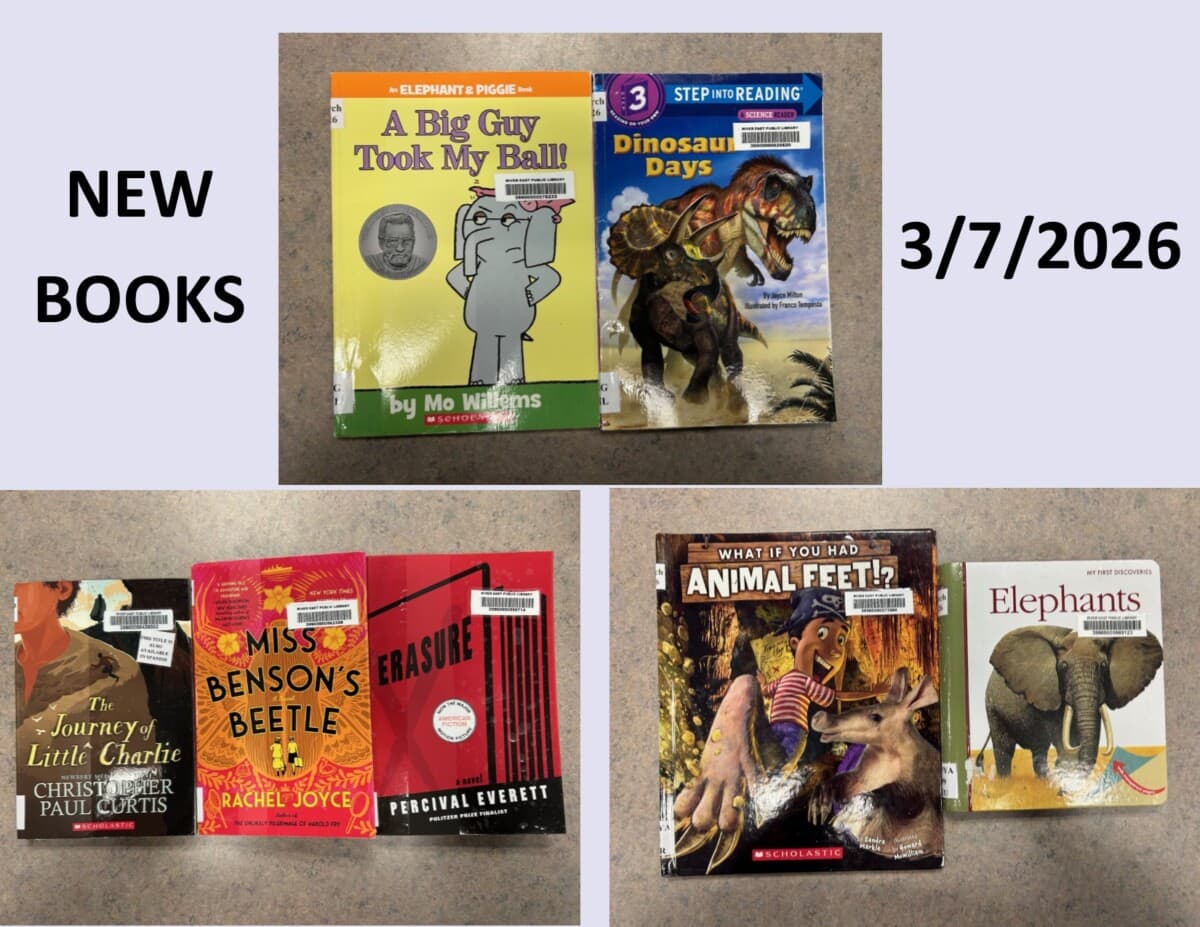 new books 3 7 26