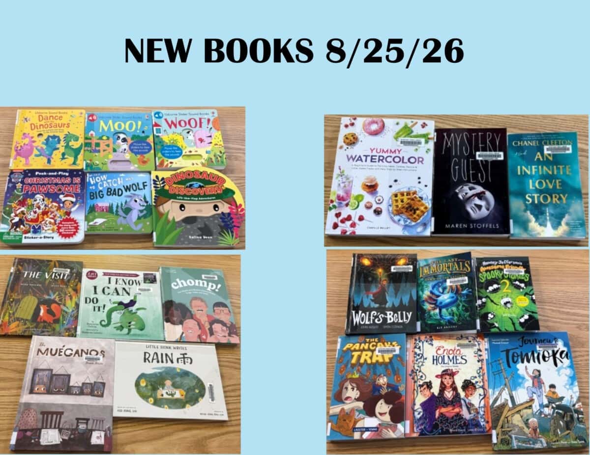 new books 8 25 26