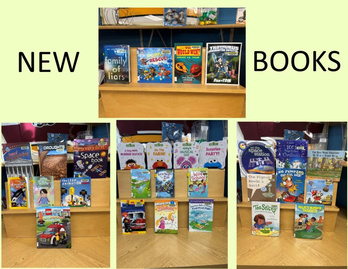 Display of new books in a library, featuring childrens and young adult titles arranged on wooden shelves. The words NEW BOOKS appear at the top, with bright covers visible in three separate sections.