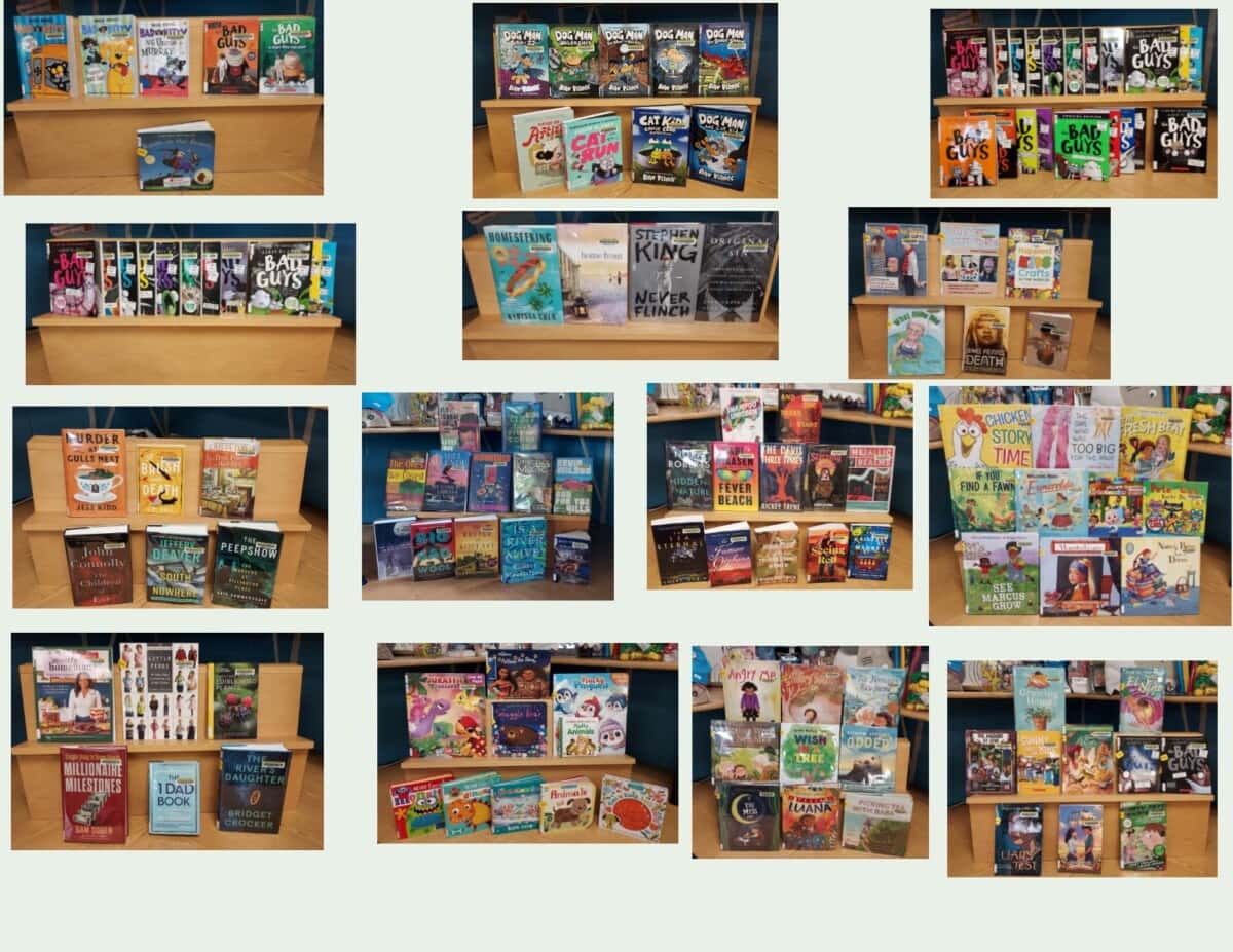 A collage of 12 bookshelves, each displaying a variety of colorful childrens and young adult books with illustrated covers, featuring both series and standalone titles arranged facing outward.