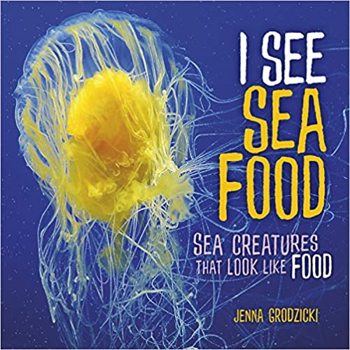 Book cover titled I See Sea Food: Sea Creatures That Look Like Food by Jenna Grodzicki, featuring a yellow jellyfish with long tentacles against a blue background.