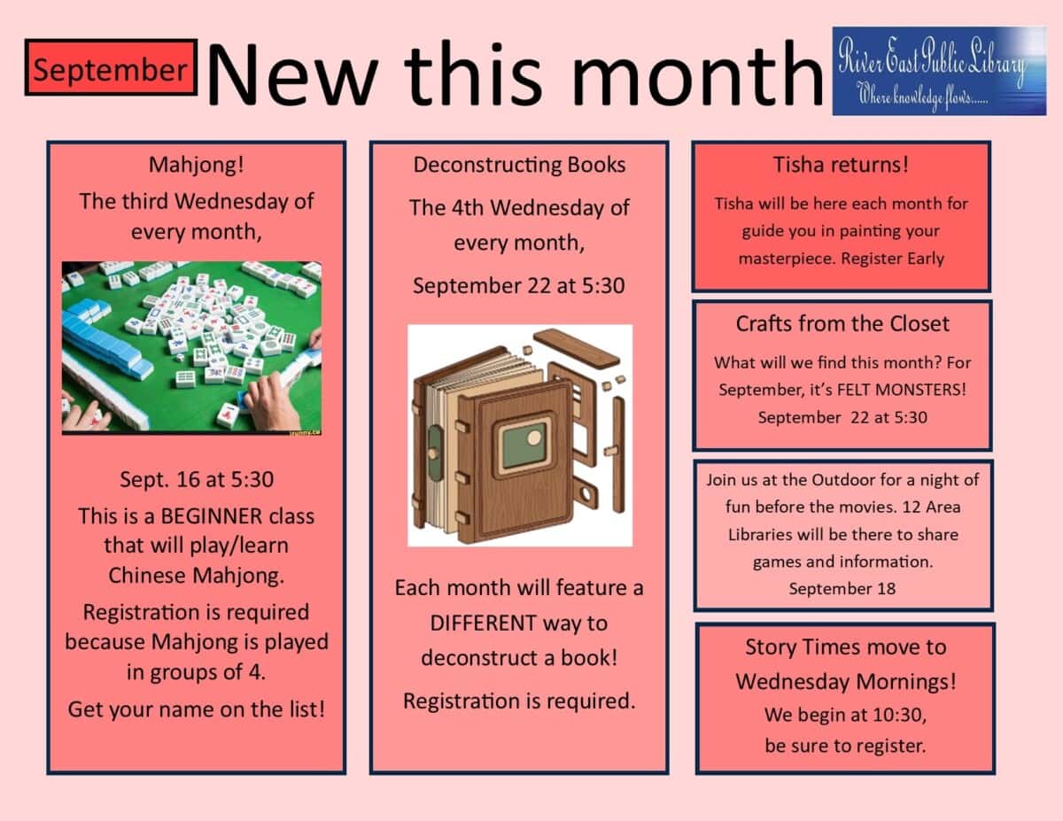 sept back sheet