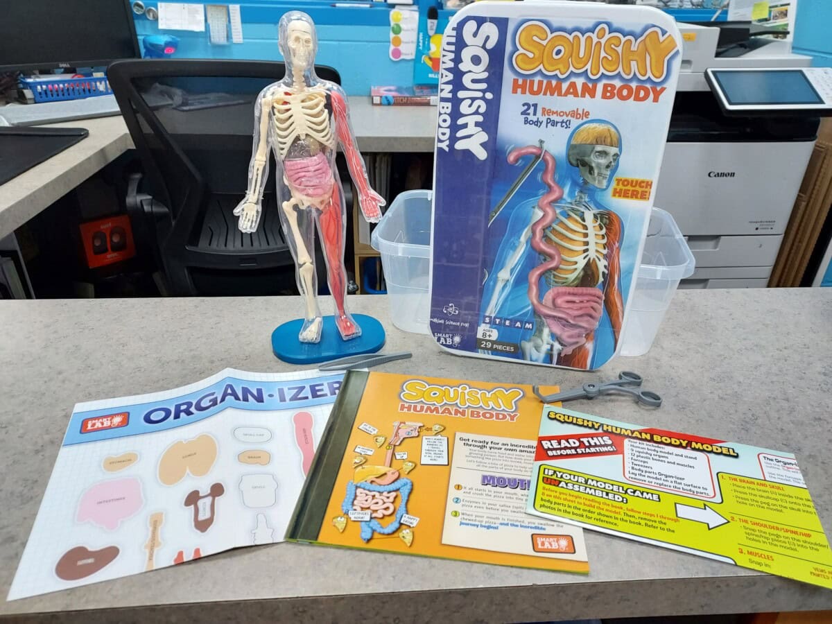 A Squishy Human Body anatomy kit on a counter, featuring a clear model with removable organs, its box, a plastic organizer tray, an Organ-izer sheet, and colorful instruction booklets.